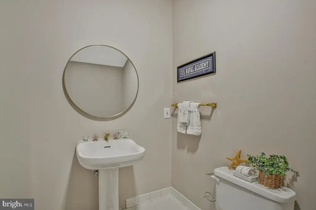 Picture 23