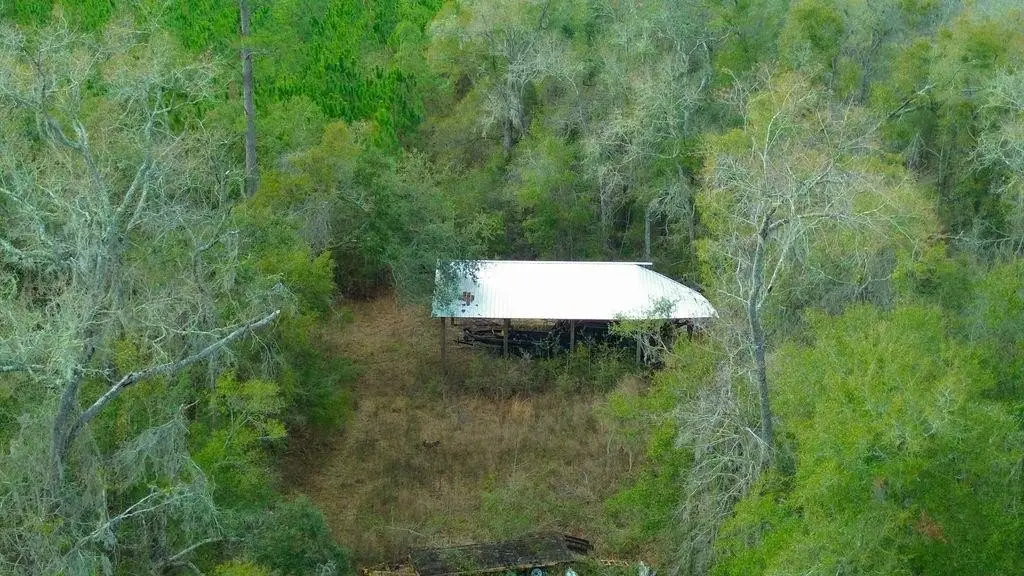 Picture 3