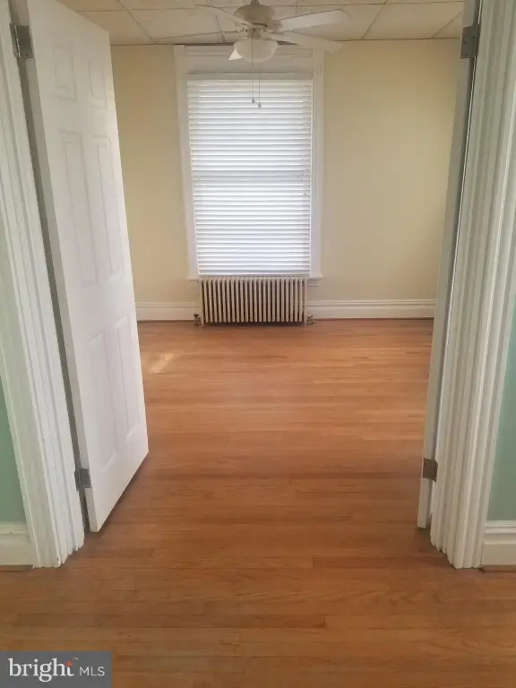 Picture 11