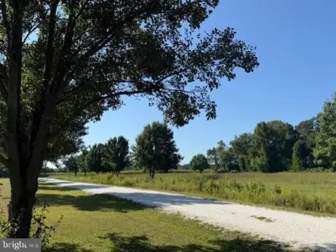 55+ Acre Wicomico County Land