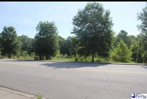 Hartsville Commercial Land Opportunity