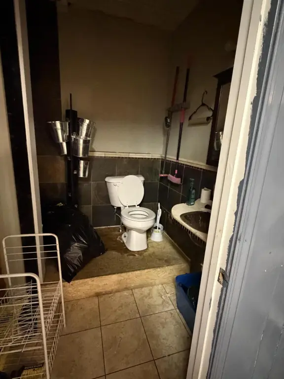 Picture 21