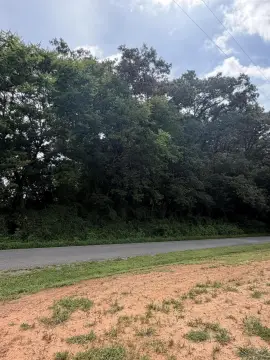 Unrestricted Wooded Land Parcel