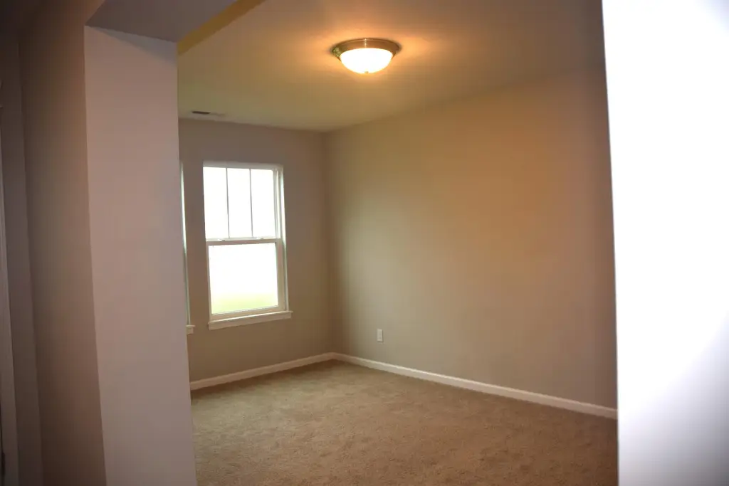 Picture 16