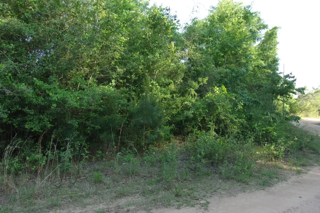 Picture 8