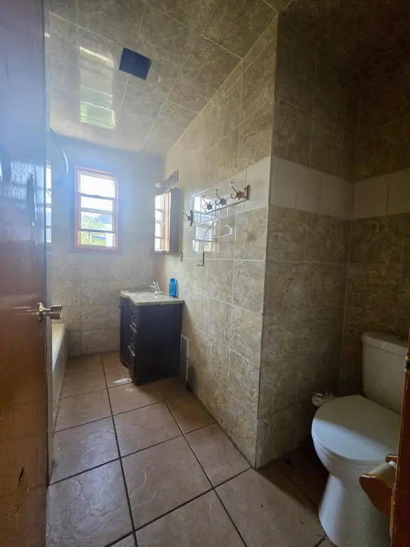 Picture 24