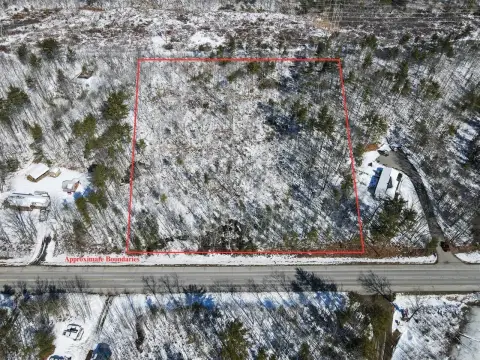 Wooded Land Parcel
