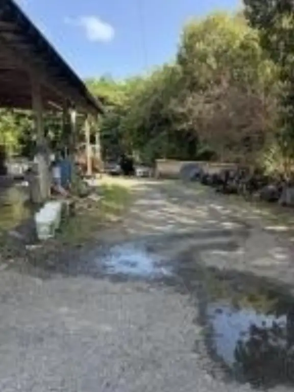 Picture 18
