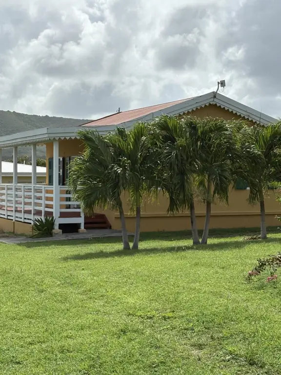 Picture 8