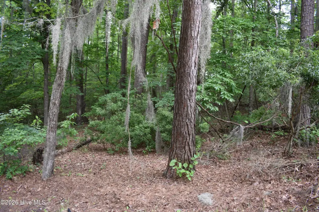 Picture 13