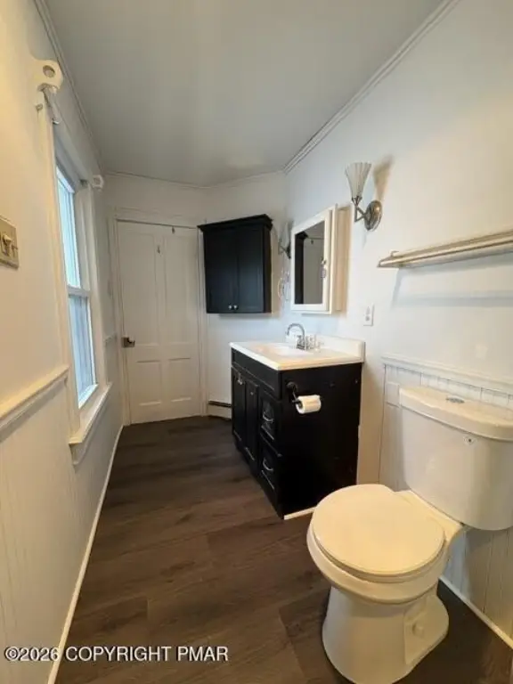 Picture 13