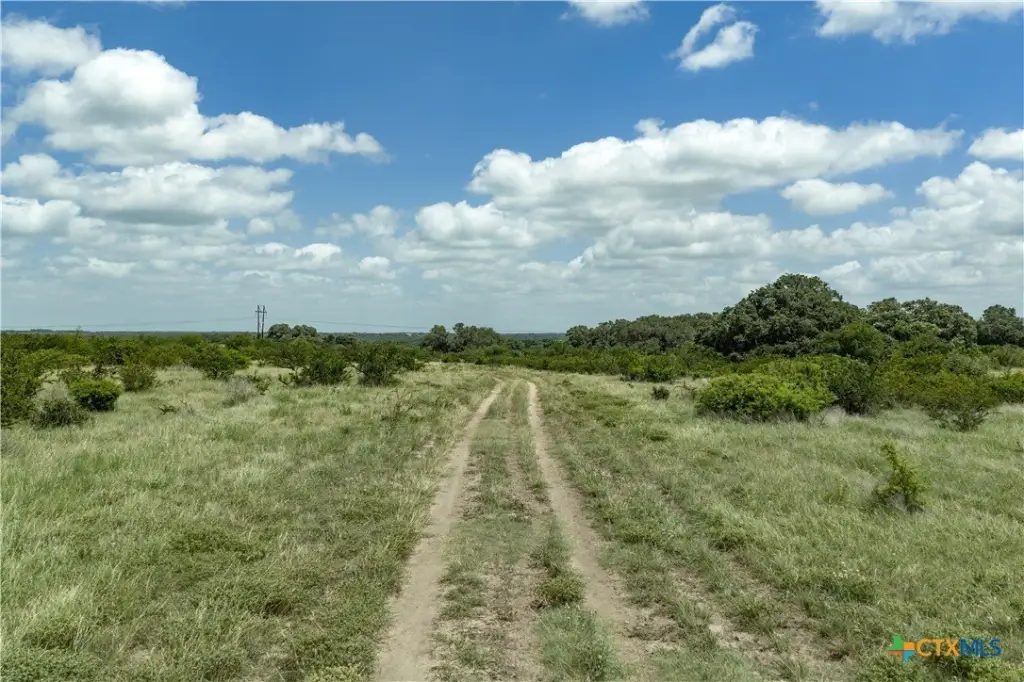 Picture 13