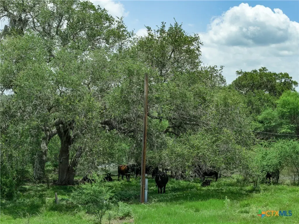 Picture 27