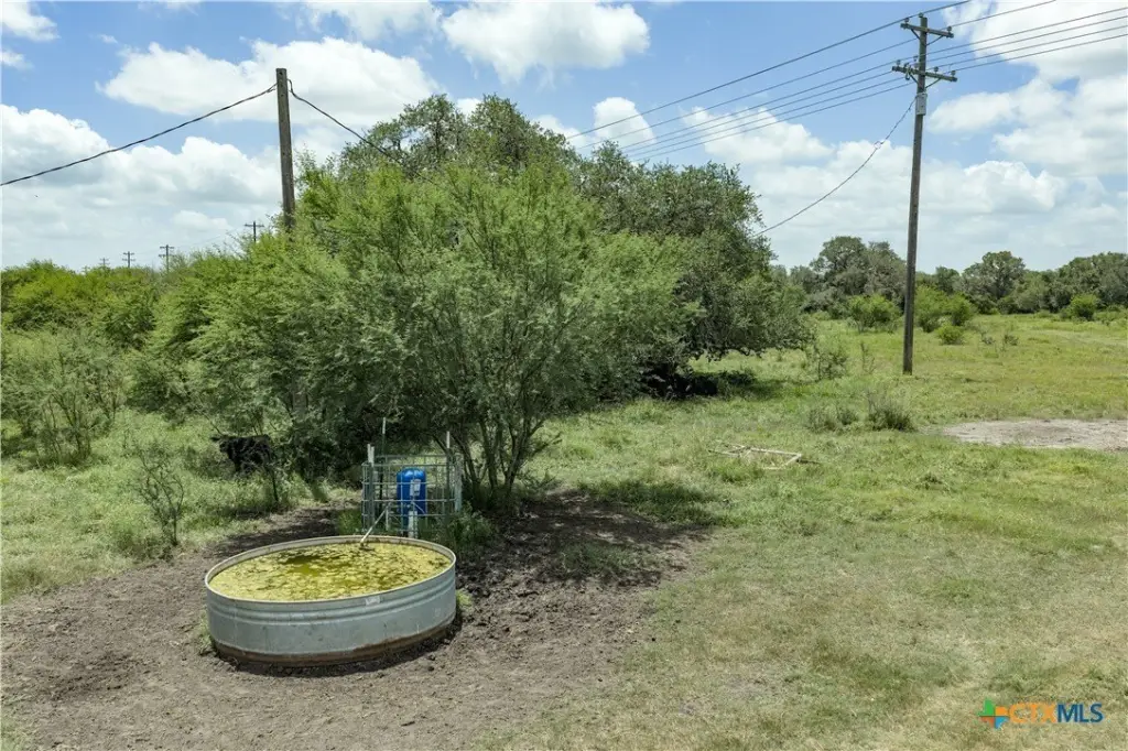 Picture 28
