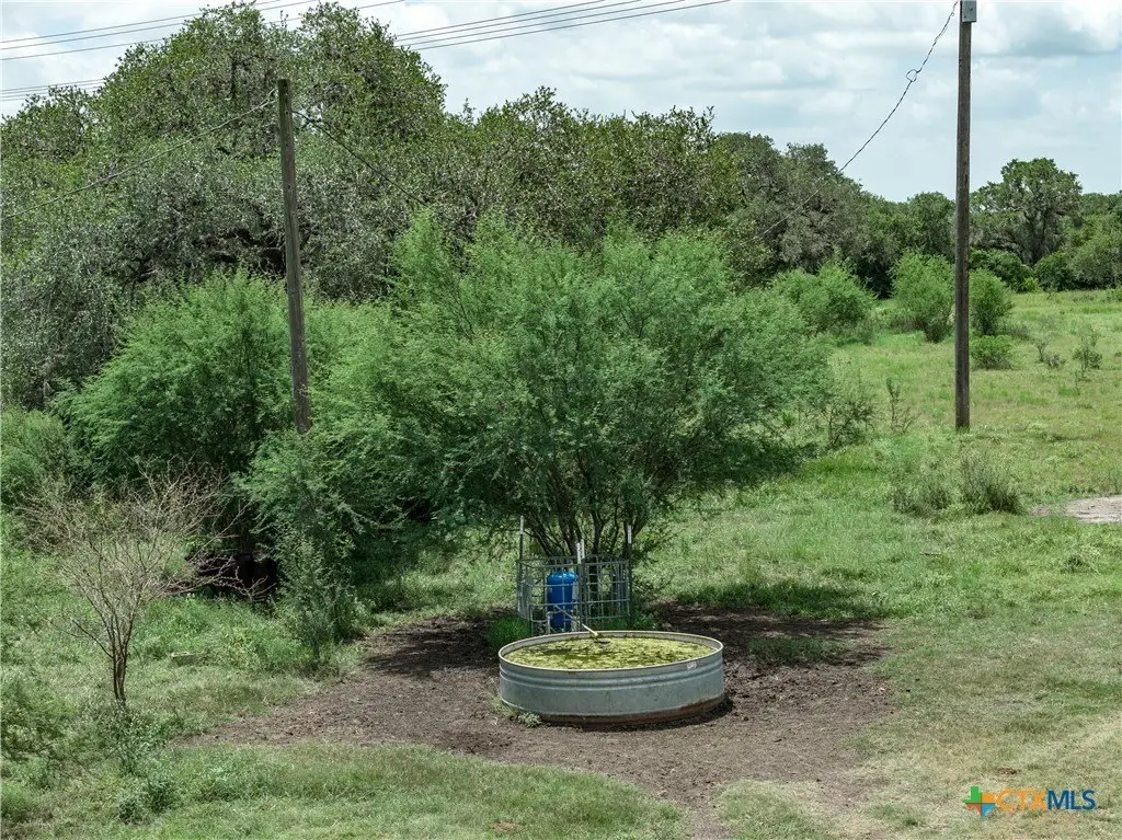 Picture 26