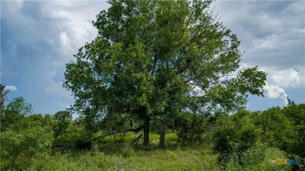 Picture 18