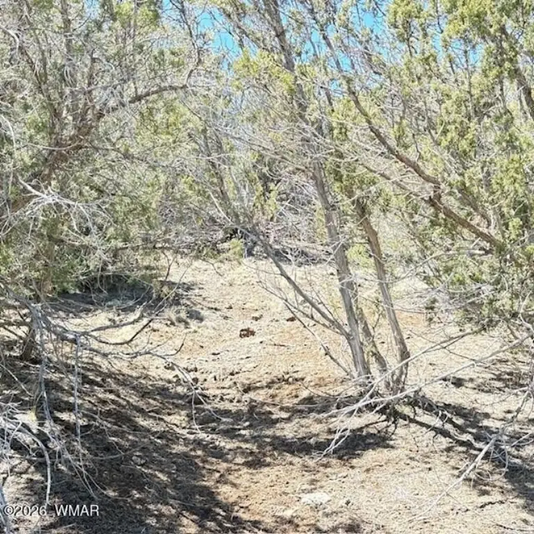 Picture 23