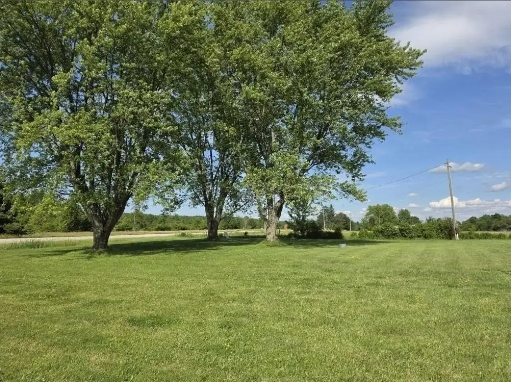 Picture 26