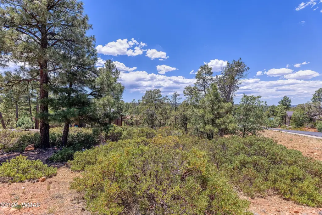 Picture 13