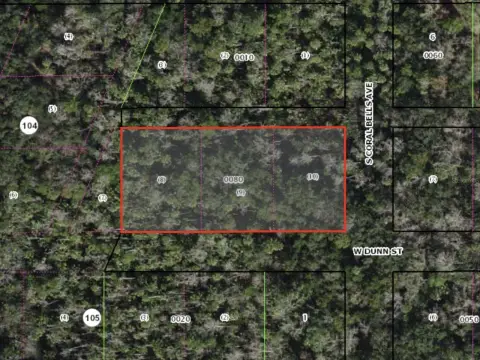 Spacious Lot in Homosassa, Florida