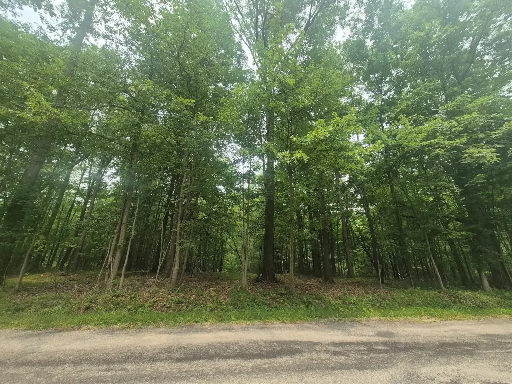Picture 6