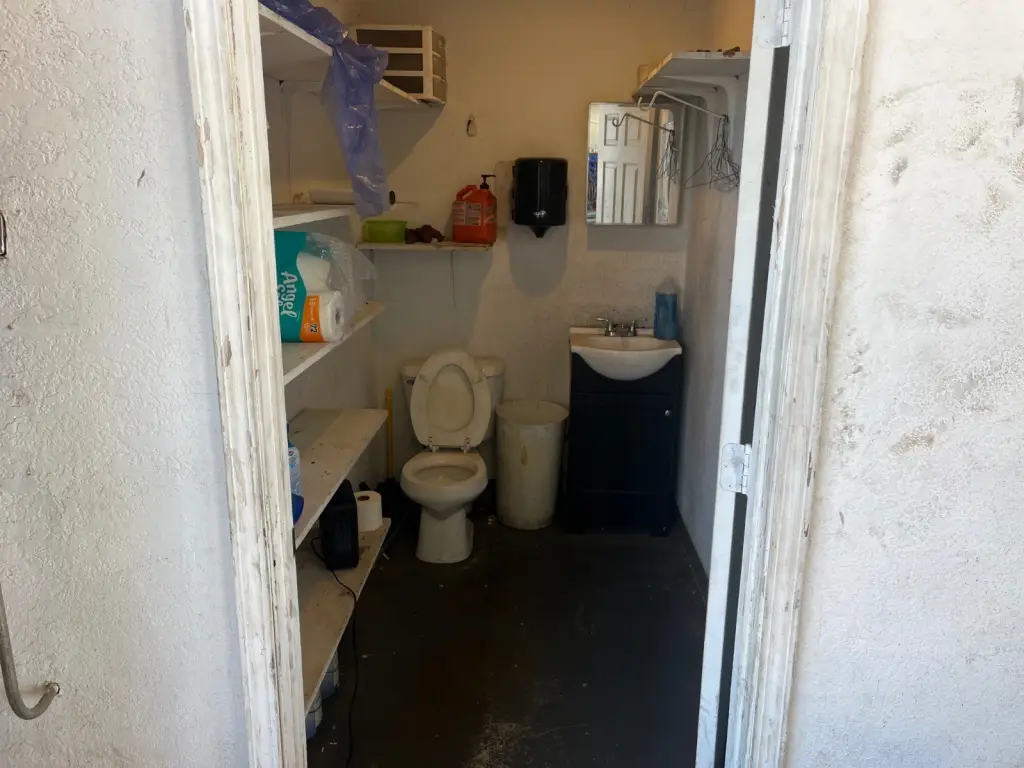 Picture 15