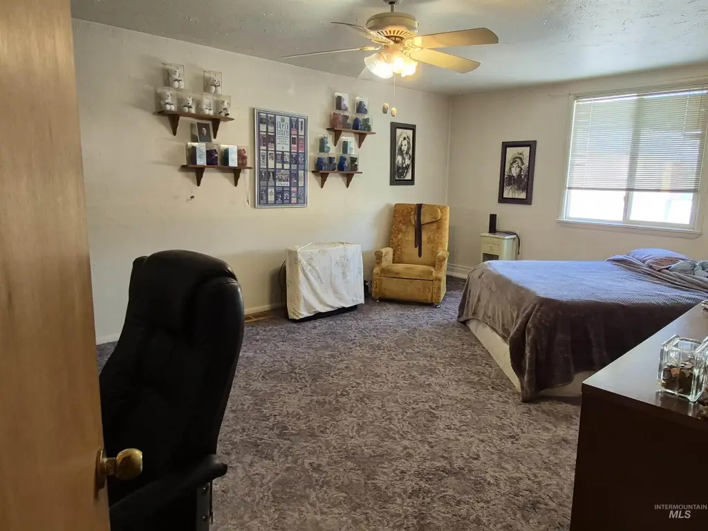 Picture 14