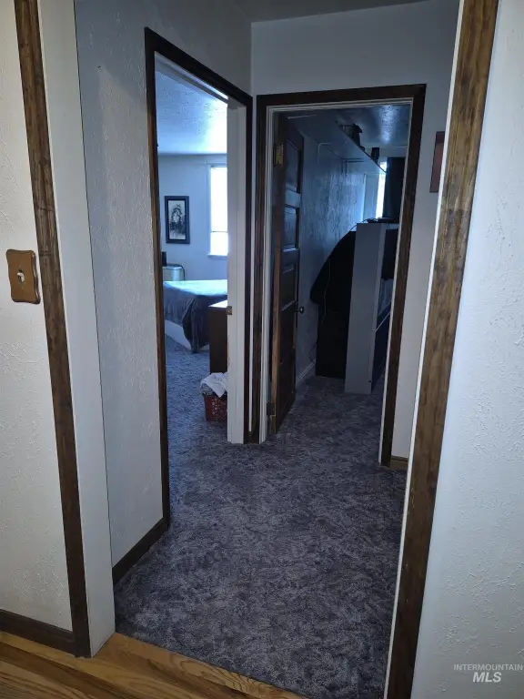 Picture 9