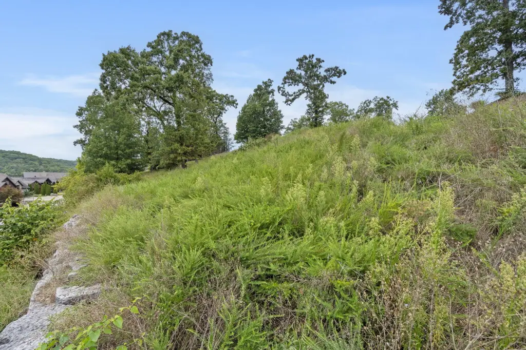 Picture 9