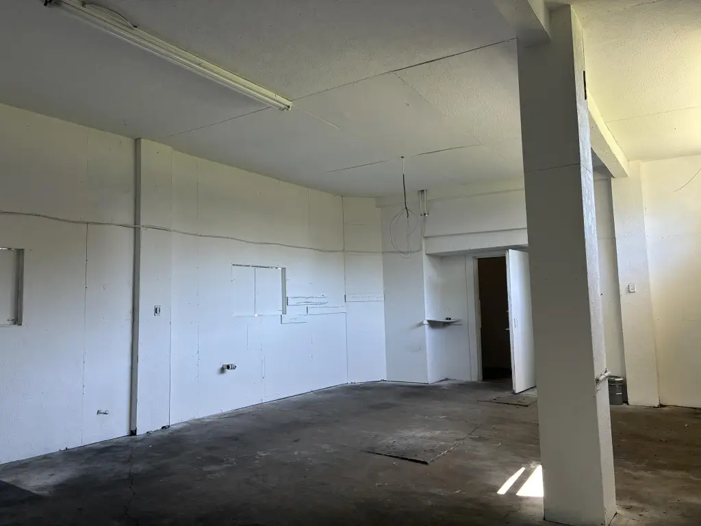 Picture 6