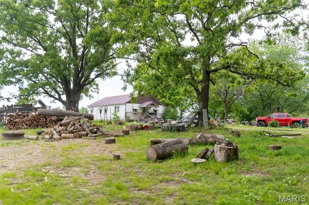 Picture 47