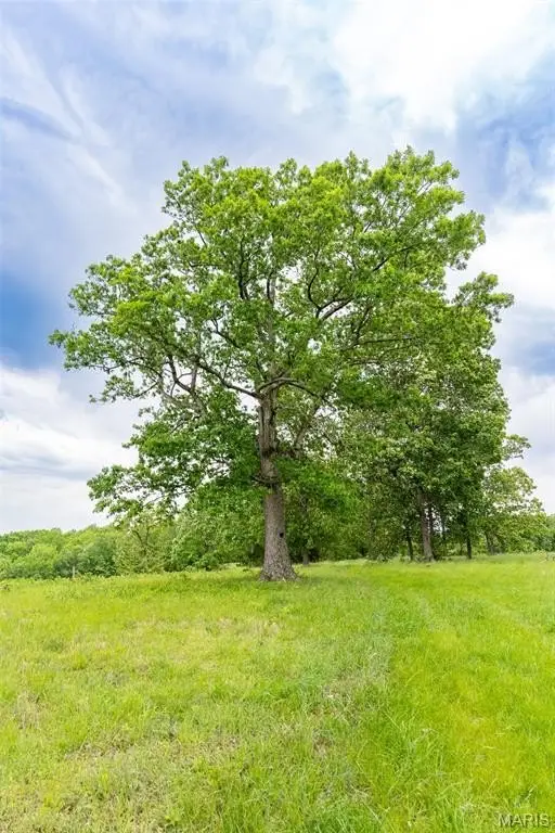Picture 29