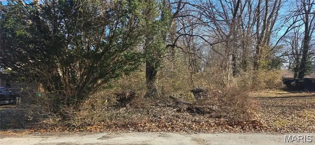 Picture 3