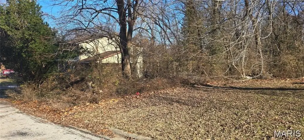Picture 2