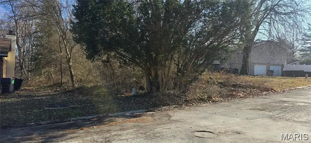 Picture 4