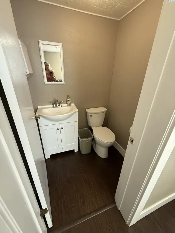 Picture 7