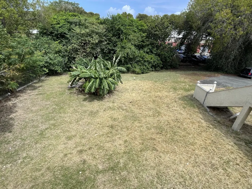 Picture 12