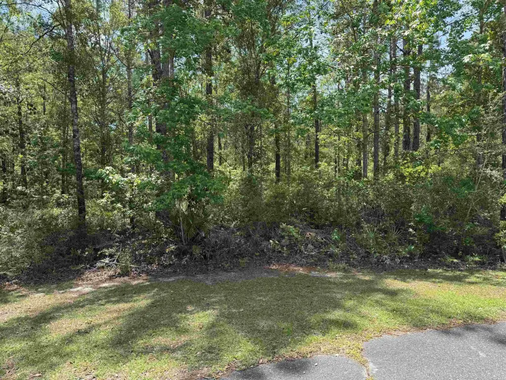 Picture 9