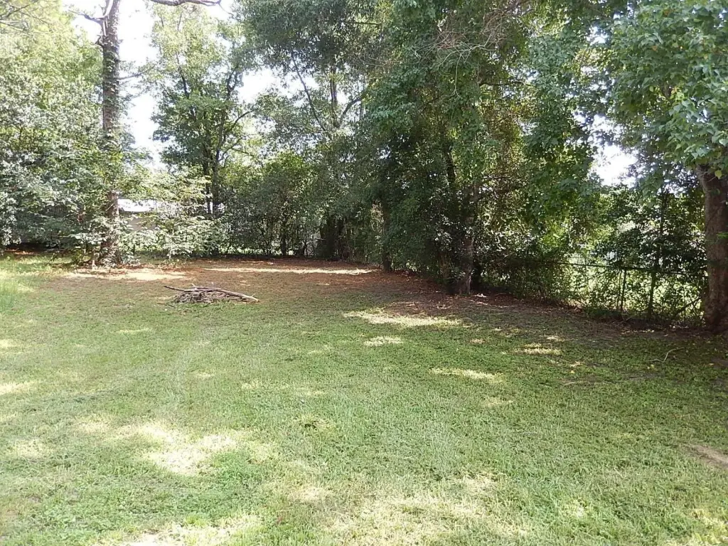 Picture 12