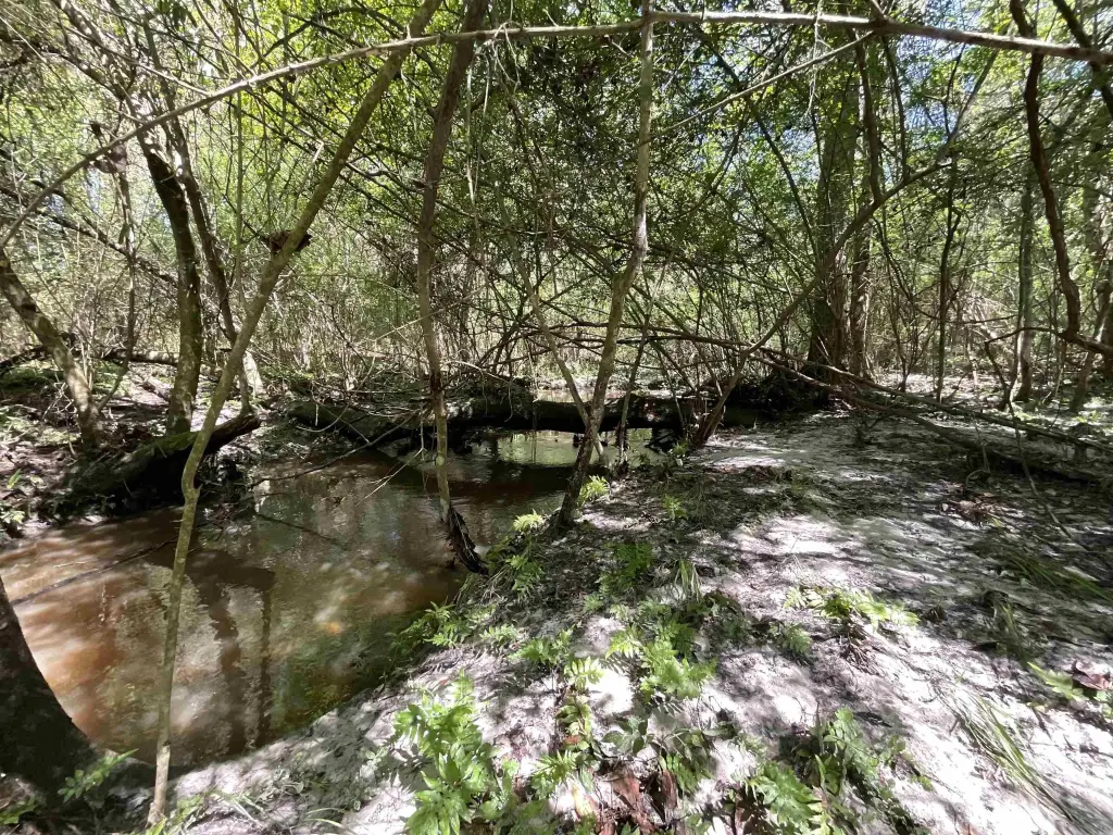 Picture 15
