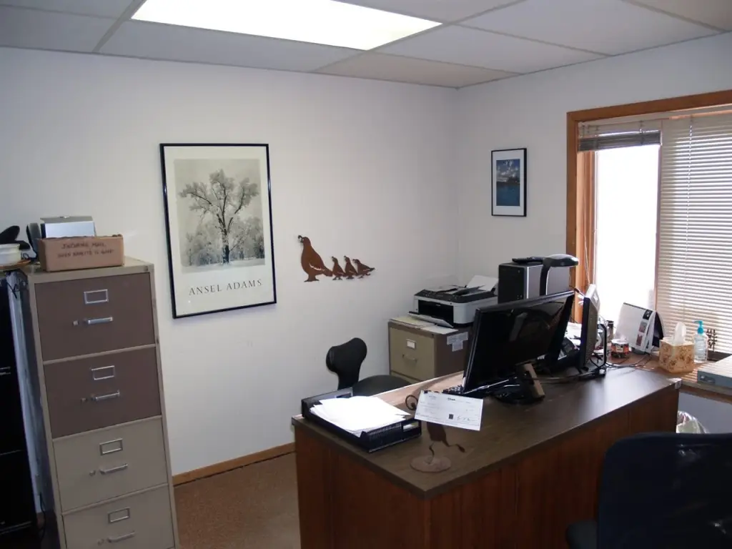 Picture 5