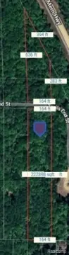 5+ Acre Vacant Land