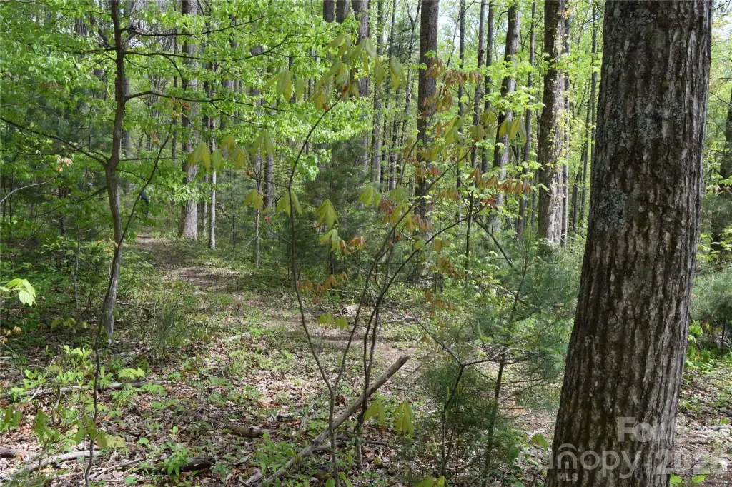 Picture 7