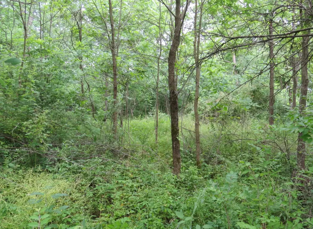 Picture 5