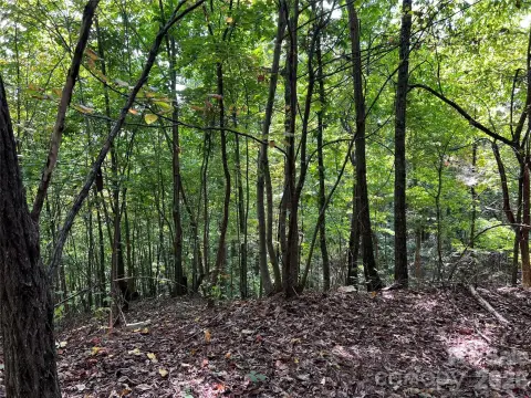 Mountain Retreat Land in Bostic
