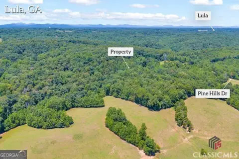 Lula GA Wooded Acreage