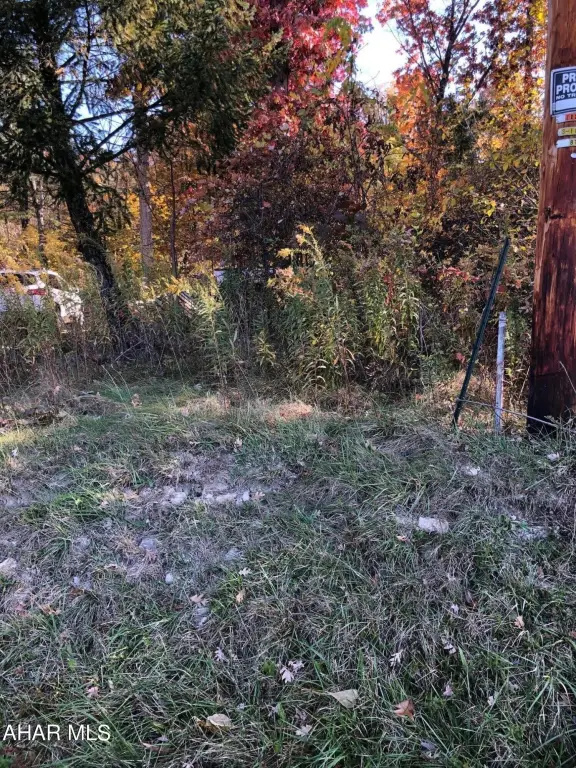 Picture 2