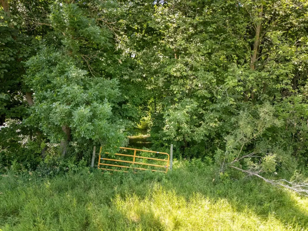 Picture 19
