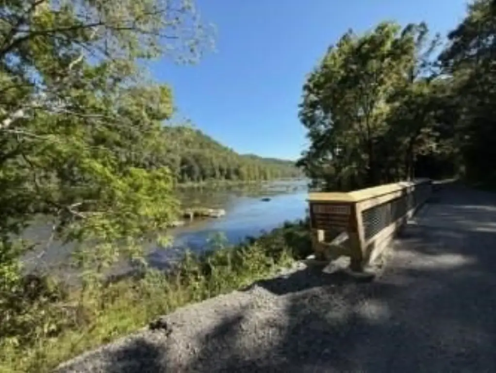 Picture 11