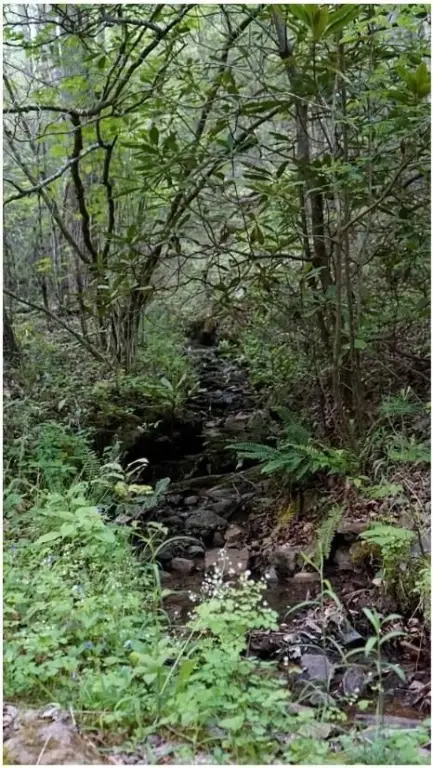 Picture 29